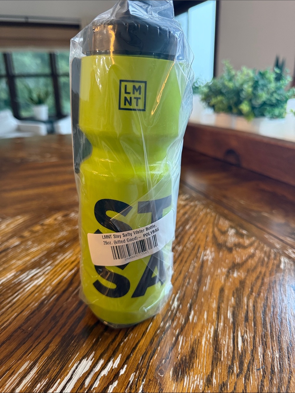 LMNT Stay salty water bottle